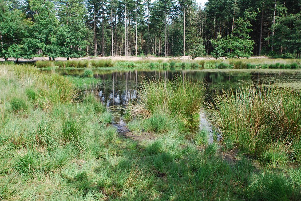 Chalet "De Vliegden" Stroe  Bagian luar foto